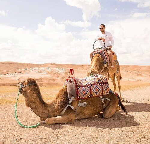 Half Day Camel Ride Agafay