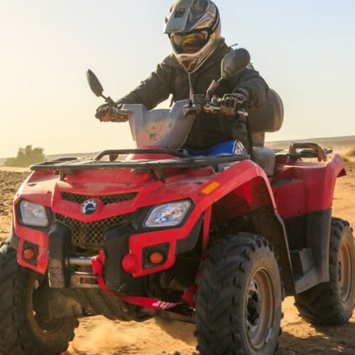 Half Day Quad Palm Grove