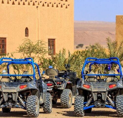 Half Day Buggy Palm Grove