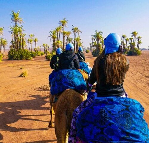 Half Day Camel Ride Palm Grove
